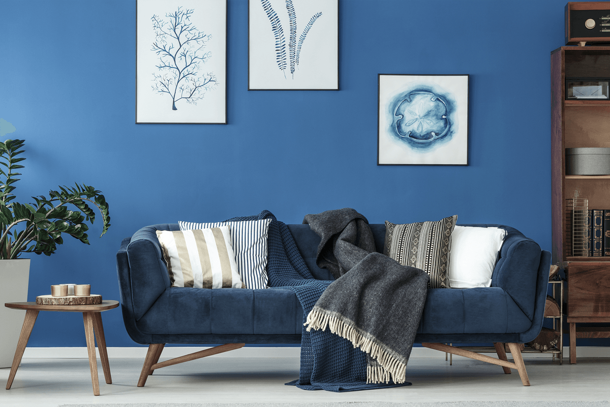 5 Easy Ways to Make Your Sofas Irresistible