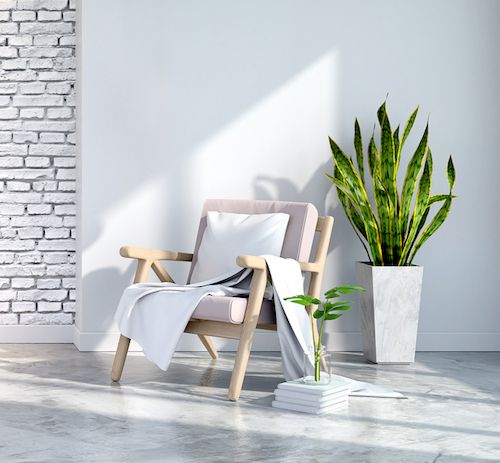 All White Interior Design–Break up with greenery