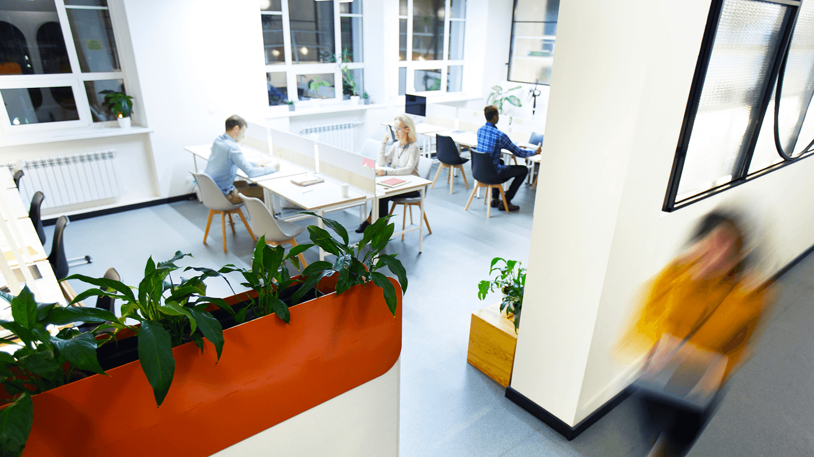 Open Office or Private Workspace Design: Which One Is Better?