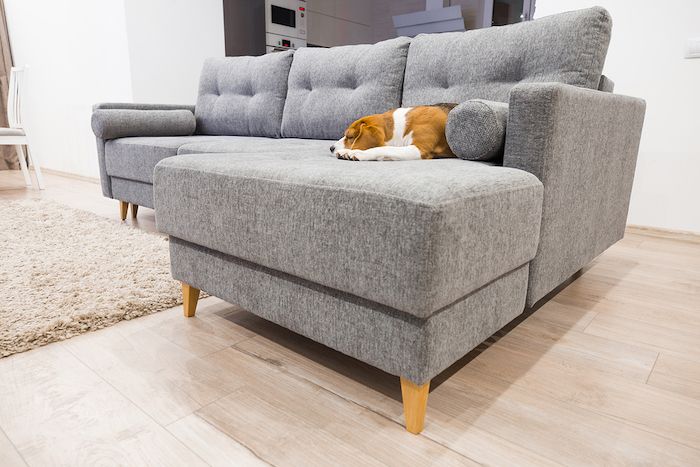 Designing Pet Friendly Homes with Style Furniture Covers