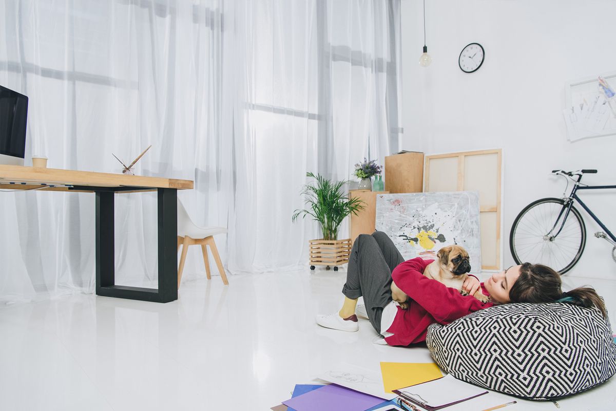 Designing Pet-Friendly Homes with Style