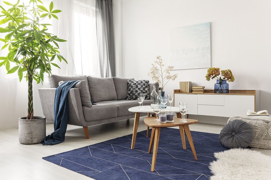 home interior design floor decor with rug