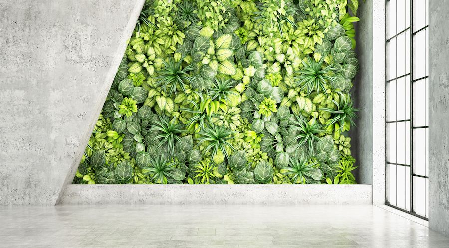 Home Interior Design Tips Green Wall