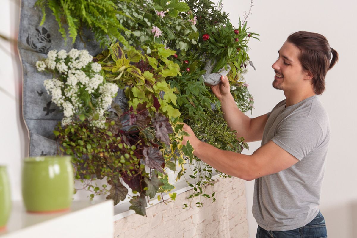 Home Interior Design Tips: The Simplest Ways to Bring the Great Outdoors Inside
