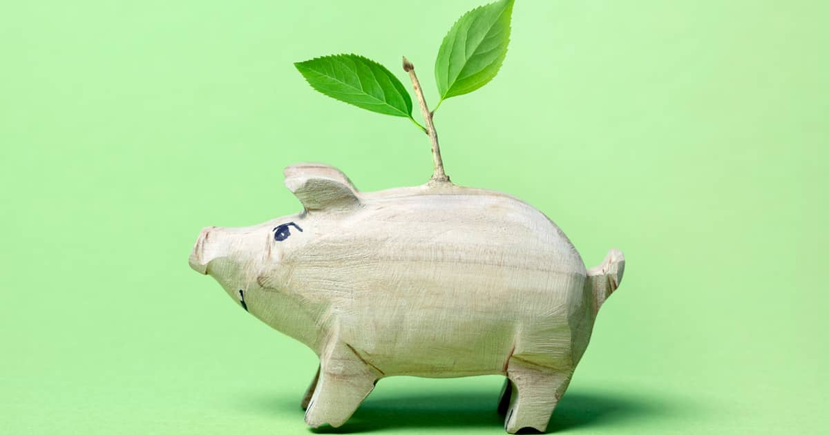 Another Reason for Eco-Friendly Home Renovation: Cheaper Home Loans