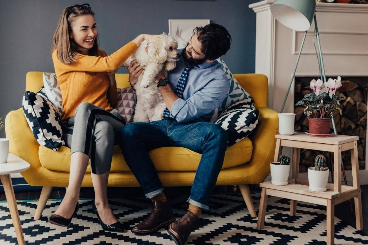 Pet-Friendly Interior Design Ideas Your Four-Legged Friends Will Love