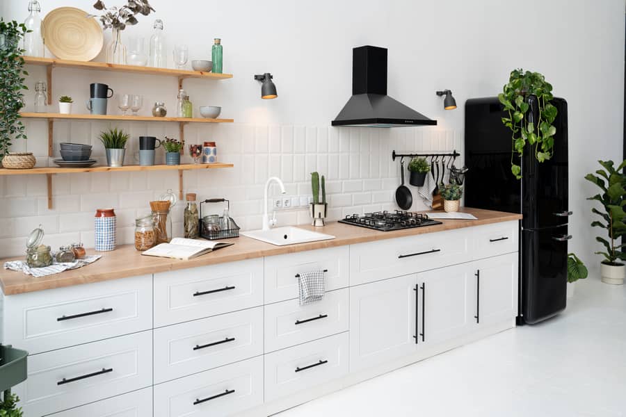home interior desig kitchen with plants