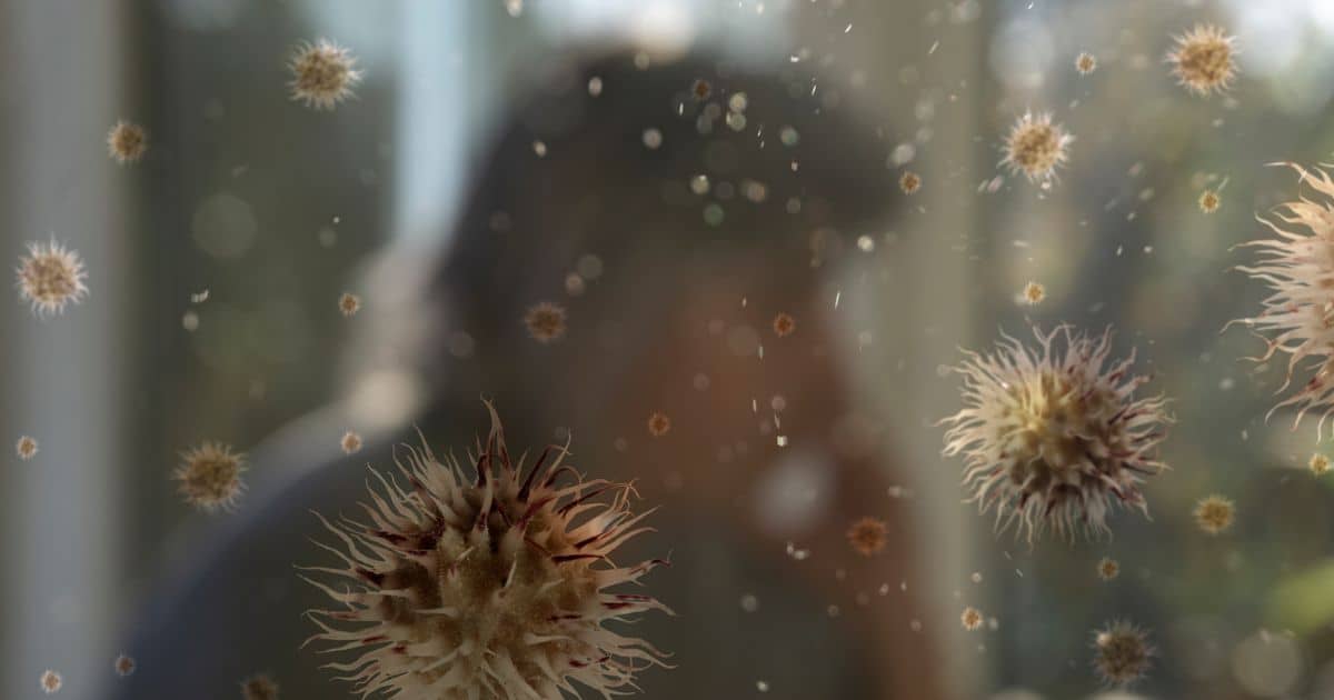 Best Interior Design Ideas to Help You Eliminate Allergens from Your Home