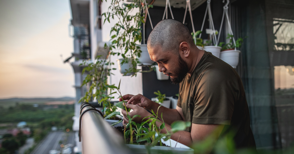 Embrace Green Living: Indoor Gardening in the Singapore Home